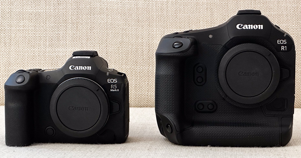 Canon EOS R5 mark II versus Canon EOS R1