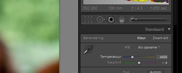 Witbalans instellen in Lightroom