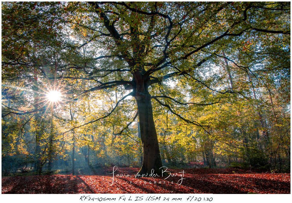 Laura van der Burgt - Herfstfotografie