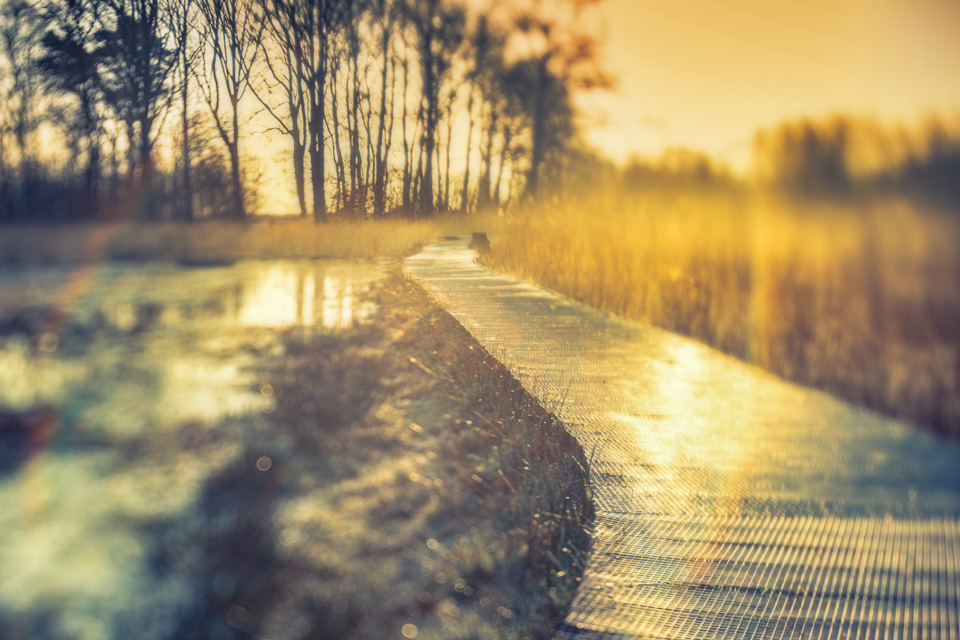 Laura van der Burgt Landschapsfotografie 3