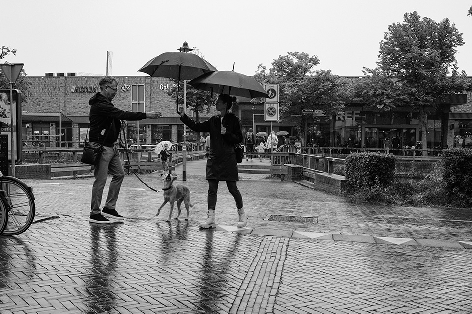 Paraplu's fotograferen