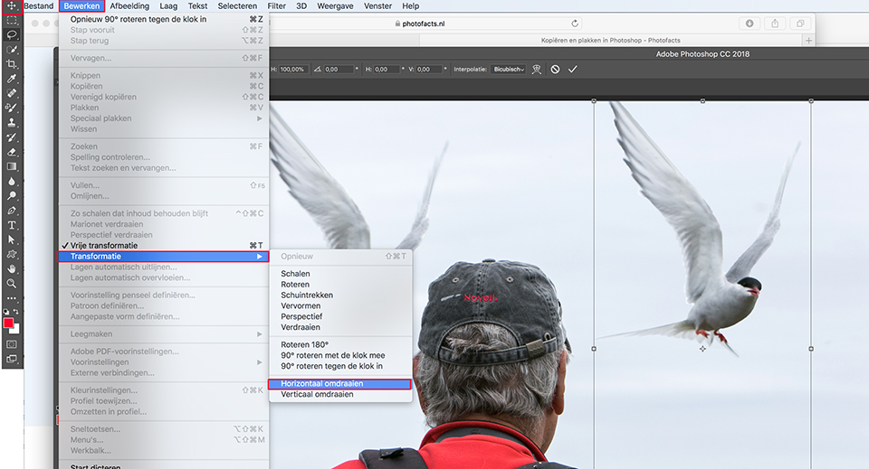 Photoshop free transform horizontaal omdraaien