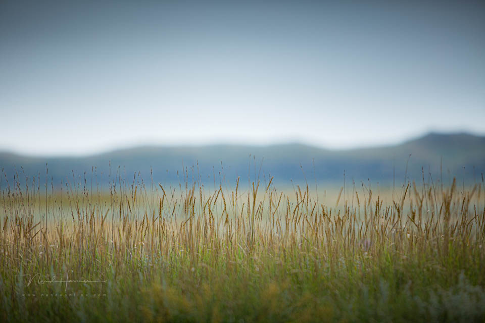 2013 nando kleine scherptediepte 2013 nando kleine scherptediepte