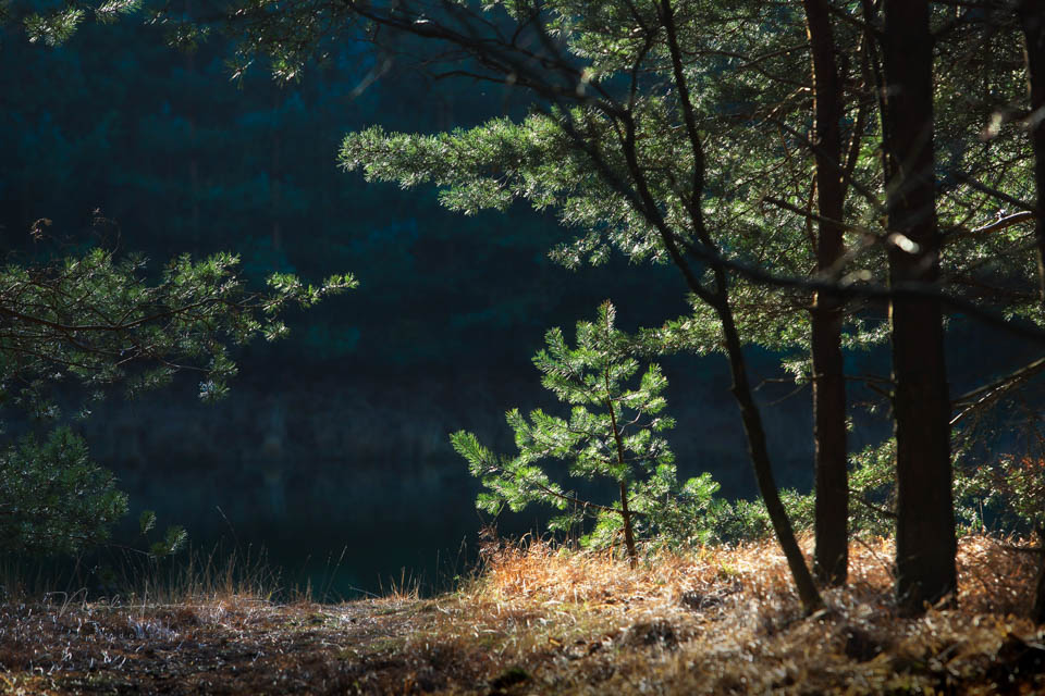 2014 nando kleine scherptediepte 2014 nando kleine scherptediepte