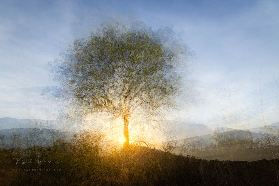 2023 nando pep ventosa boom zon 2023 nando pep ventosa boom zon