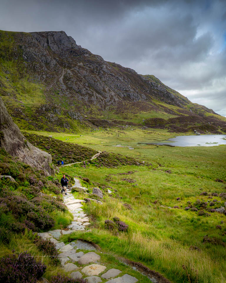 2025 nando verticaal panorama 3 2025 nando verticaal panorama 3