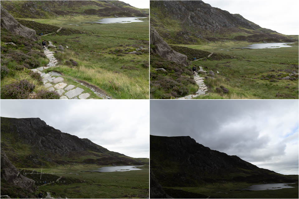 2025 nando verticaal panorama 2025 nando verticaal panorama