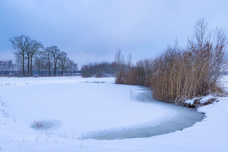 2026 nando in de sneeuw 2026 nando in de sneeuw