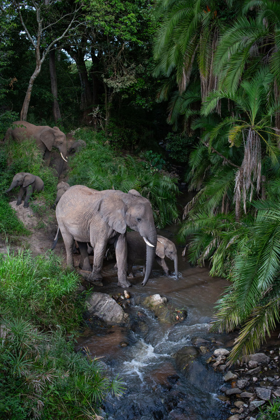 4171 11877 WillBurrard Lucas UnitedKingdom Professional WildlifeNature 2026