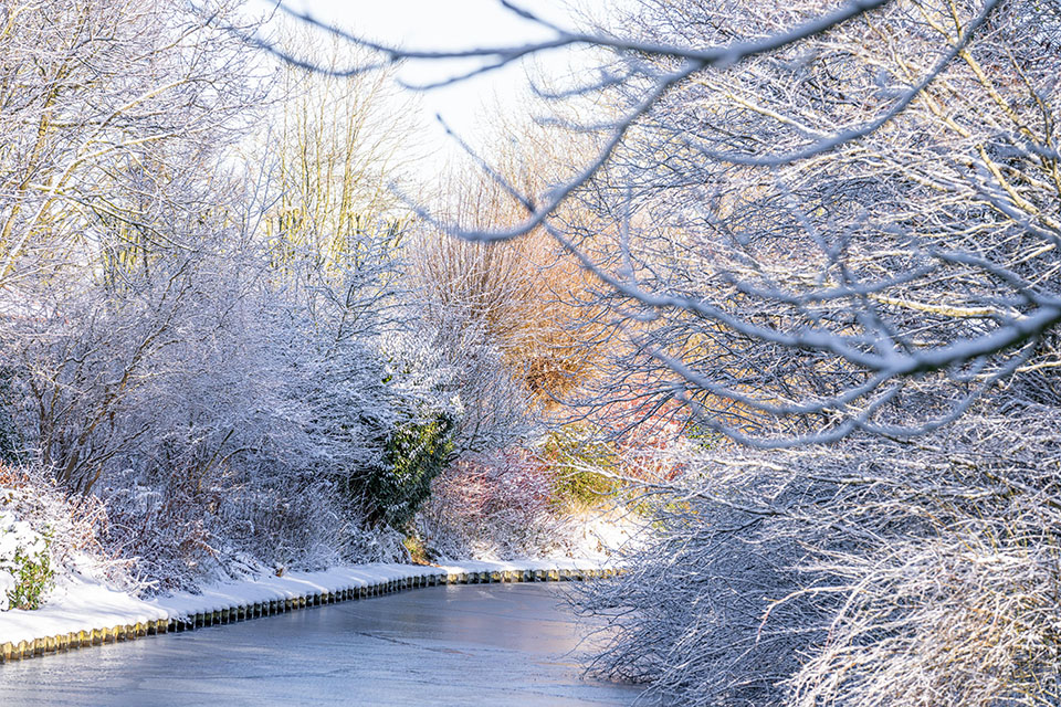 Anita Frickus Anita Frickus