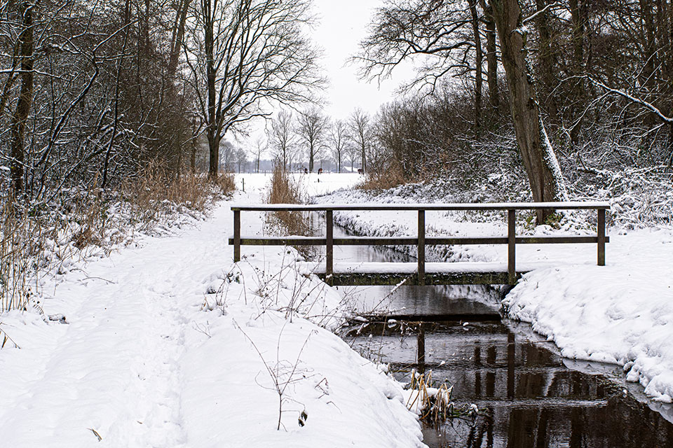 Cees v d C Cees v d C