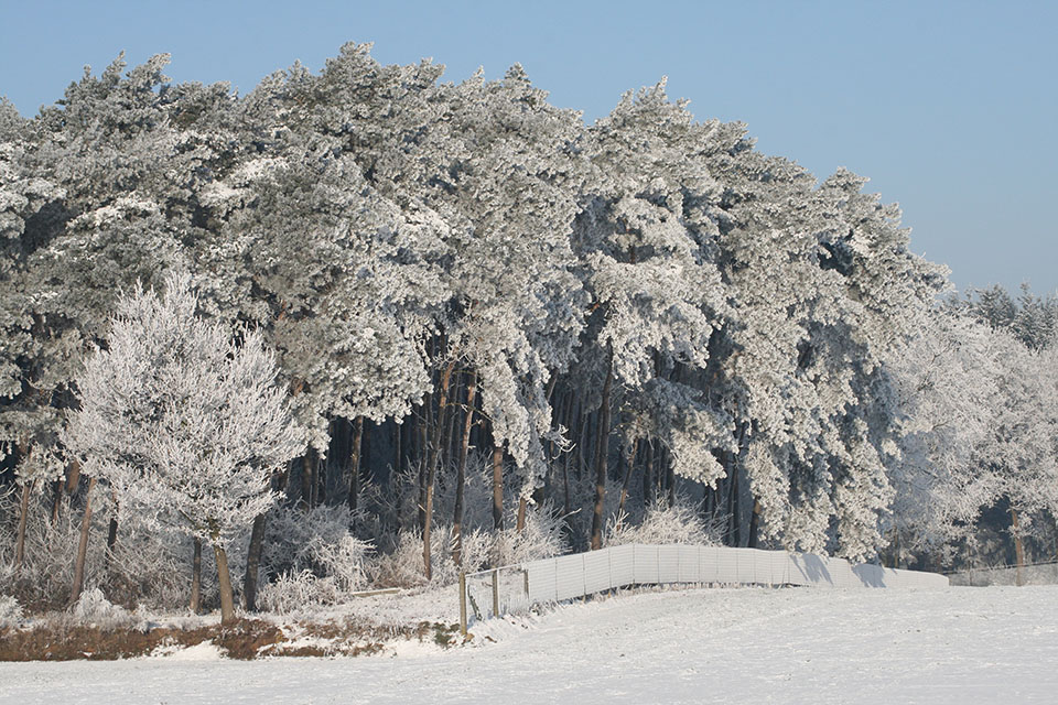 Donald Willemsen Donald Willemsen