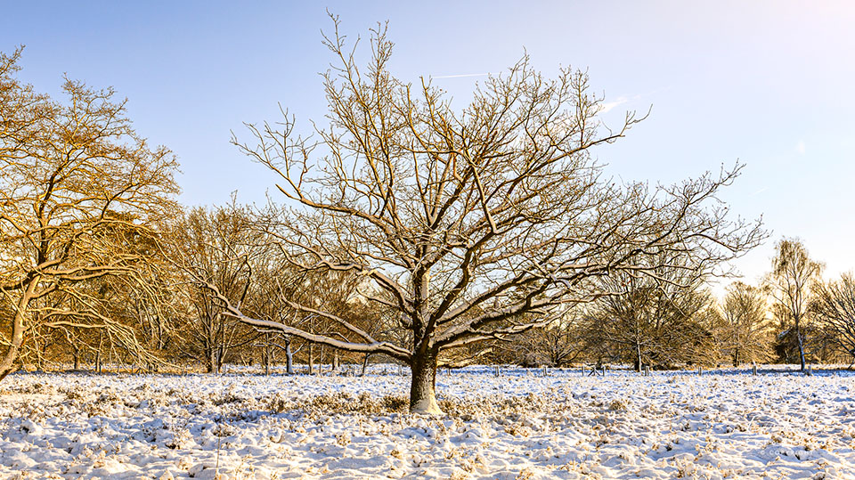 Eddy Koninckx Eddy Koninckx