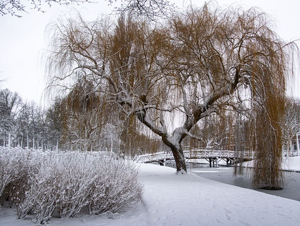 Ger van Veen Ger van Veen