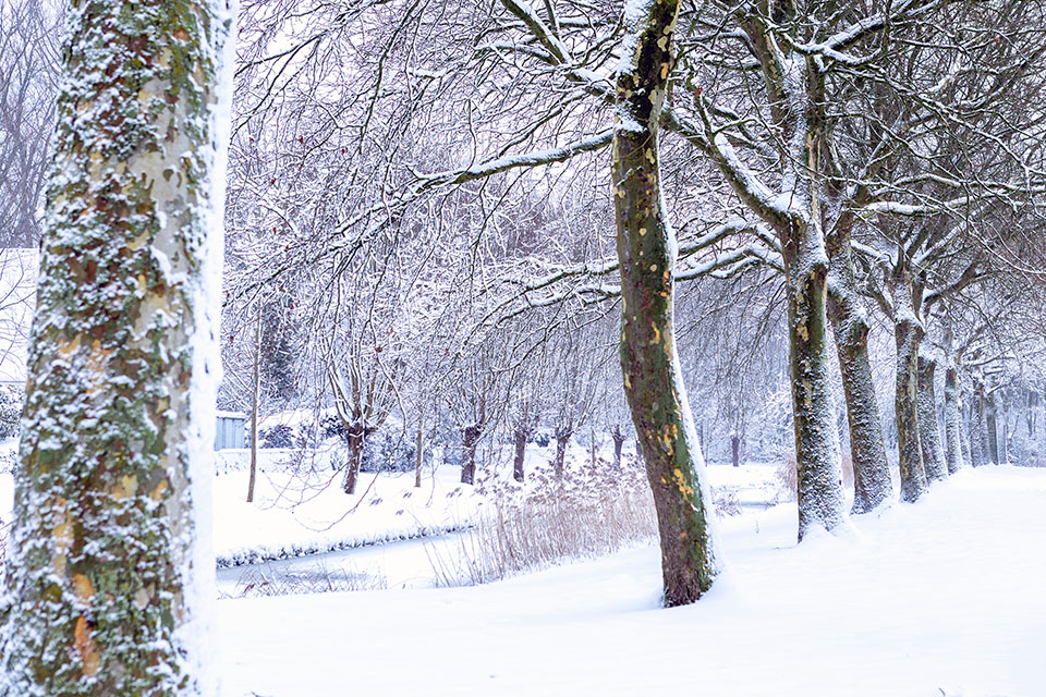 Jan Mackloet Jan Mackloet