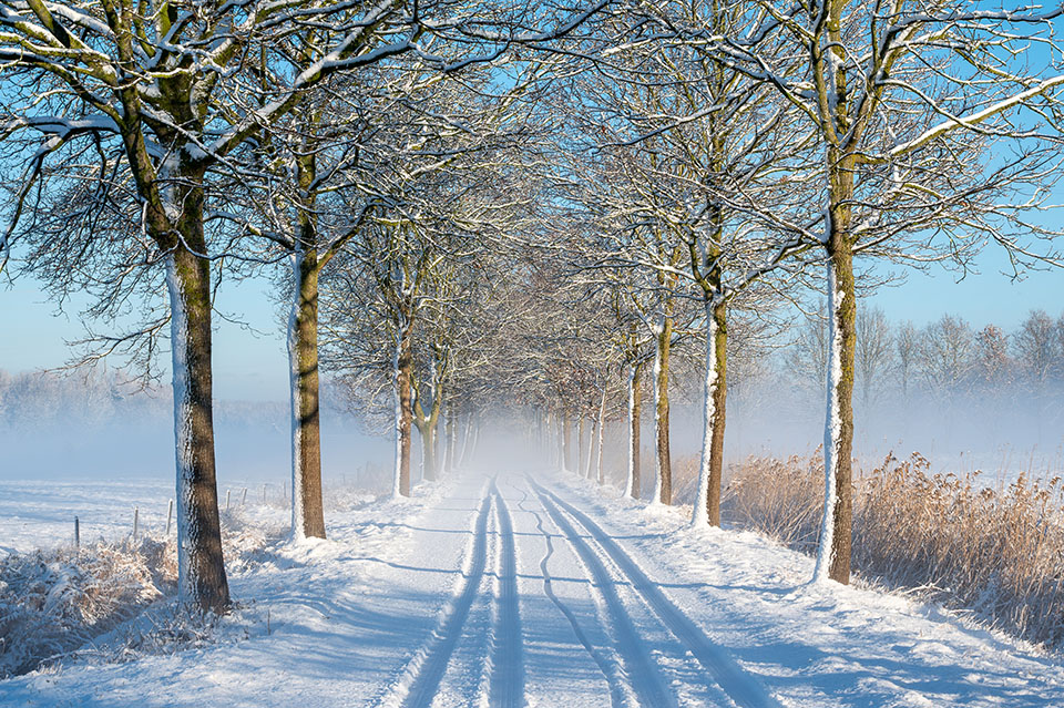 Marc Van Caesbroeck Marc Van Caesbroeck