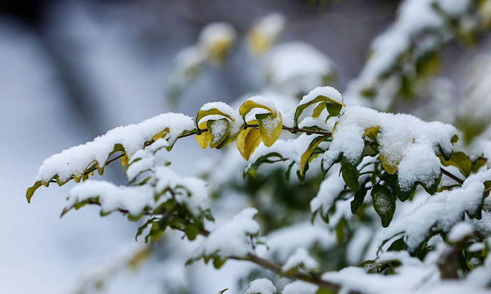 Margot Kleinpenning Margot Kleinpenning