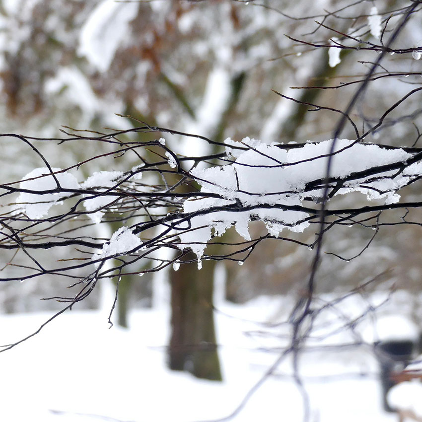 Marian Maters Marian Maters