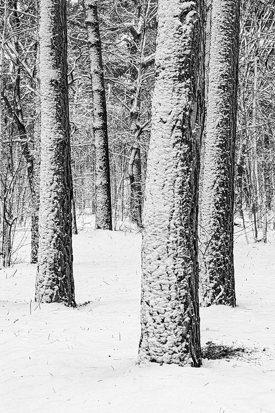 Marleen Houben Marleen Houben