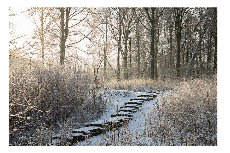 Marleen Vermeersch Marleen Vermeersch