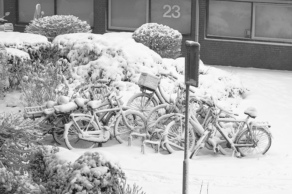 Peter Pors Peter Pors