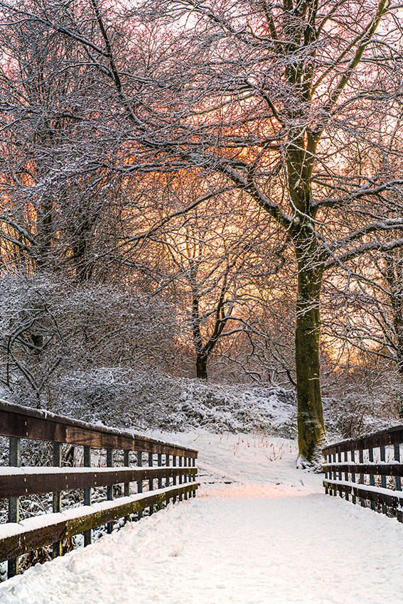 Henk boter Henk boter