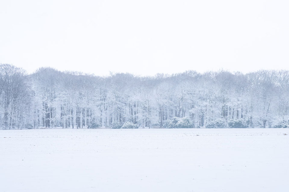 Inekevkempen Inekevkempen