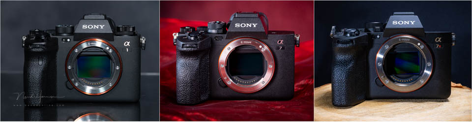 Nando 2025 sony cameras