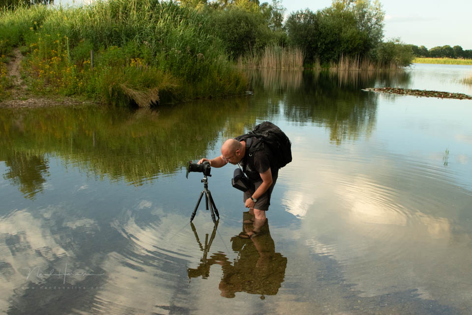 Nando 2025 statief in water