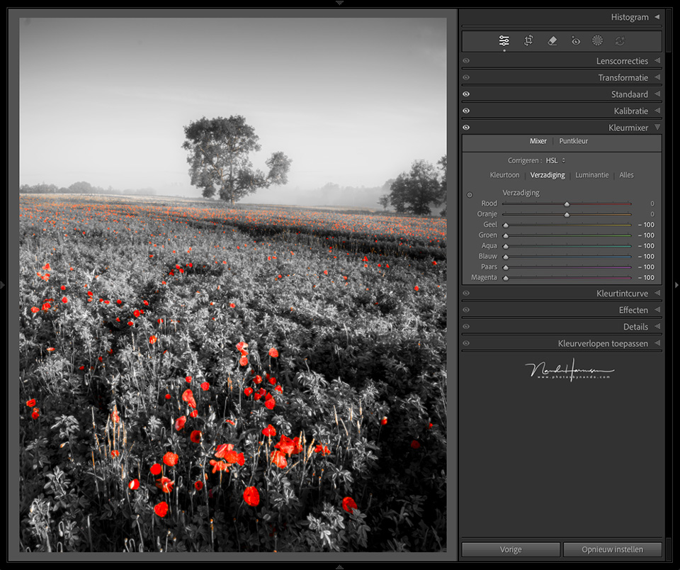 Nando LrC alleen rood Nando LrC alleen rood