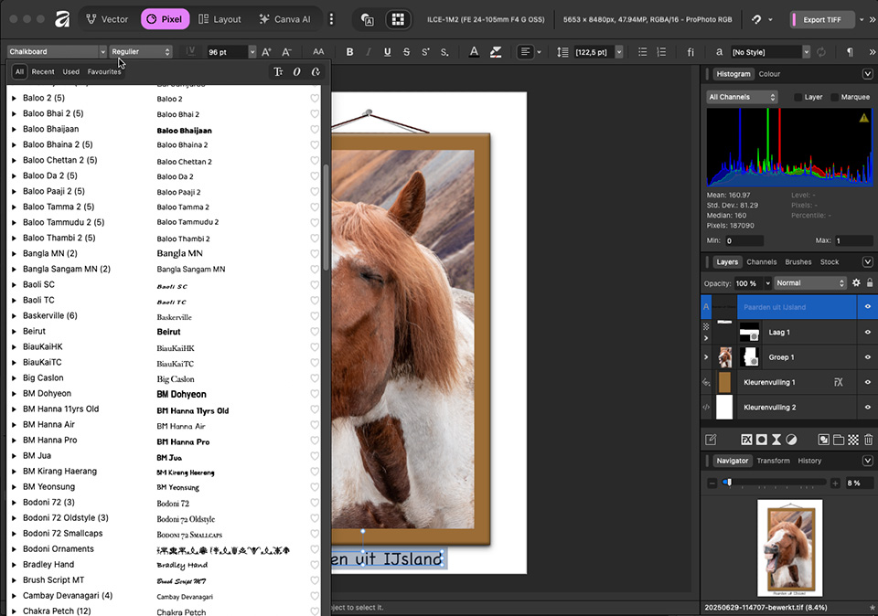 Nando affinity fonts