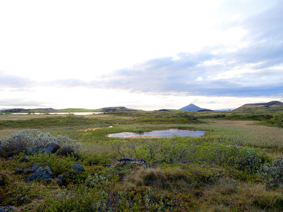 Nando belichtingstrapje myvatn 4 Nando belichtingstrapje myvatn 4