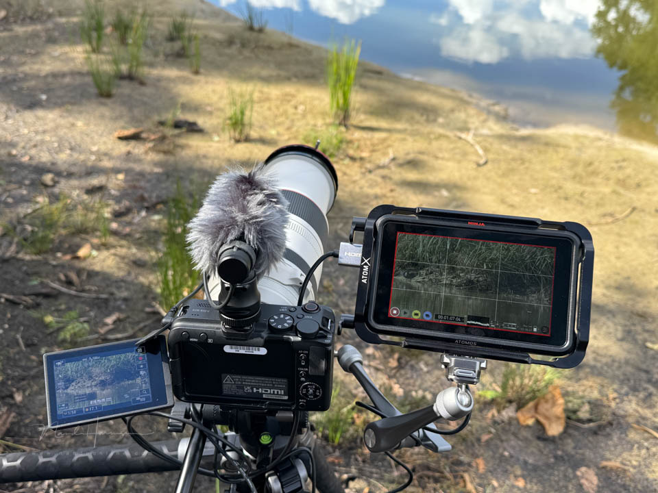 Nando canon eos r50v 2 Nando canon eos r50v 2