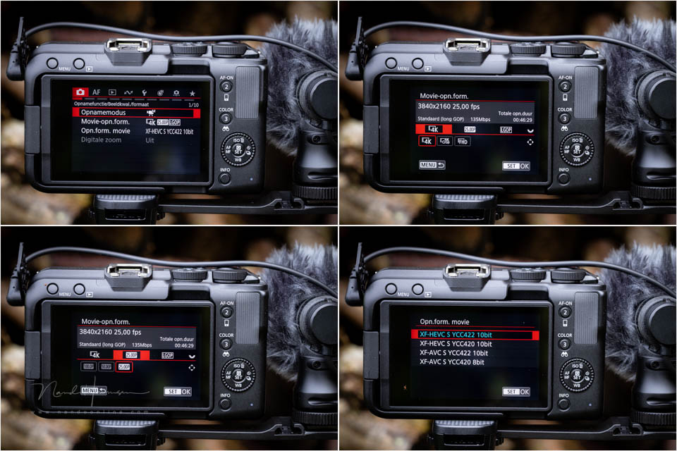 Nando canon eos r50v 21 Nando canon eos r50v 21