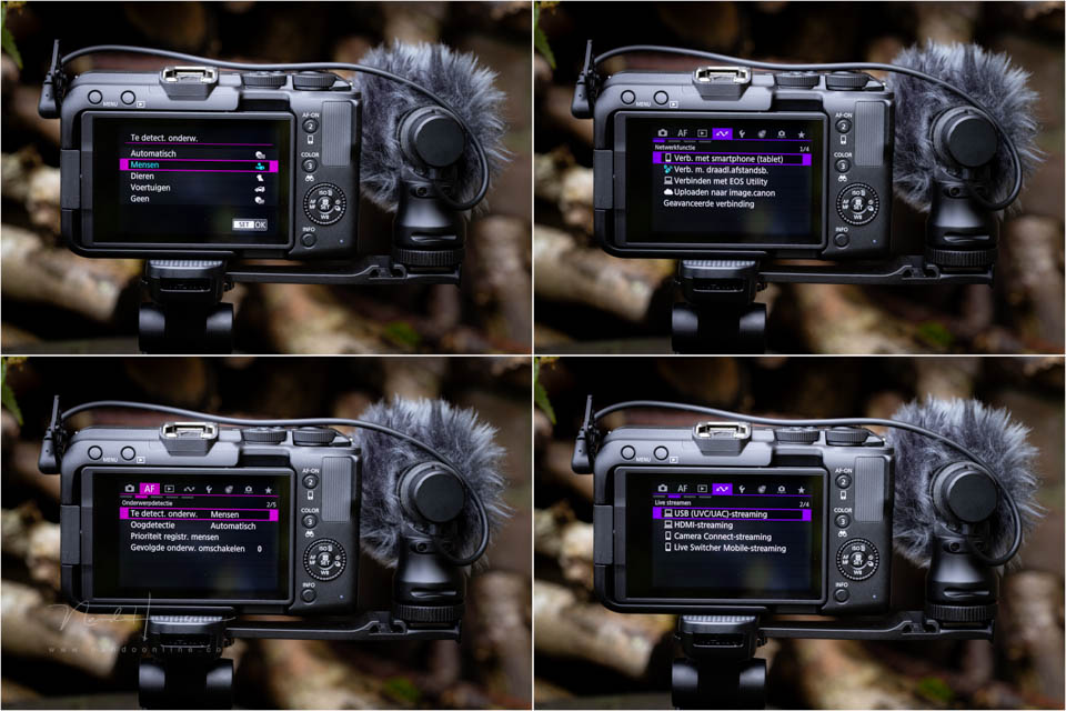 Nando canon eos r50v 24 Nando canon eos r50v 24