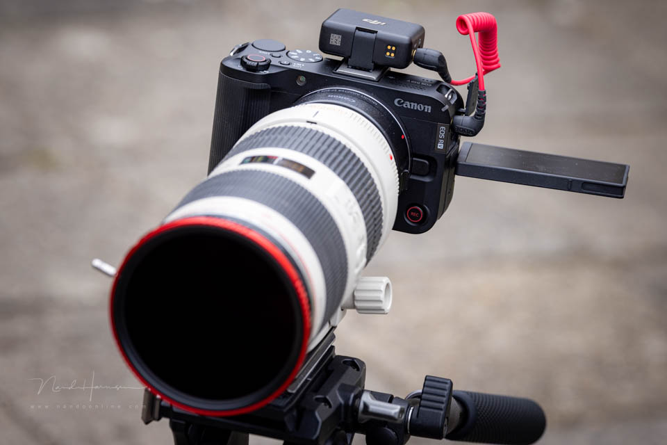 Nando canon eos r50v 4 Nando canon eos r50v 4