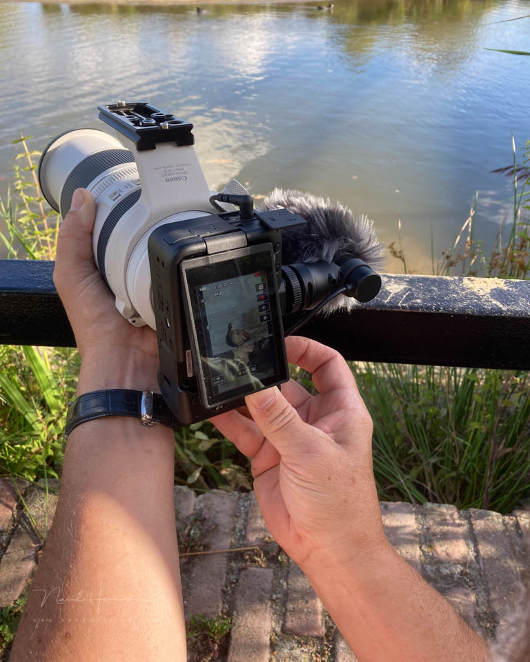 Nando canon eos r50v Nando canon eos r50v