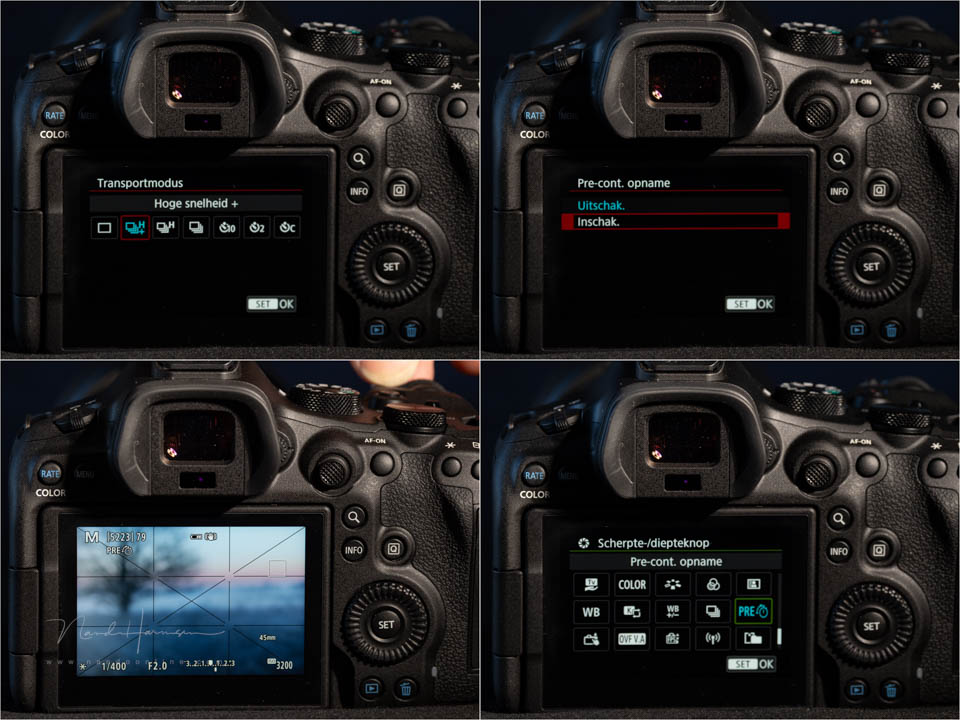 Nando eos r6 pre capture 2