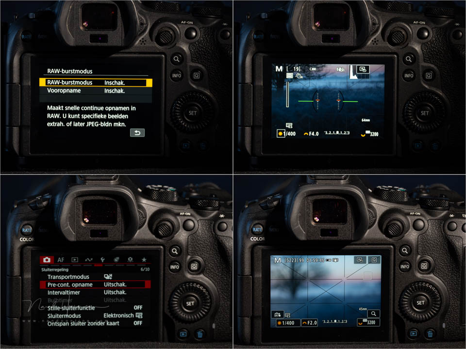 Nando eos r6 pre capture