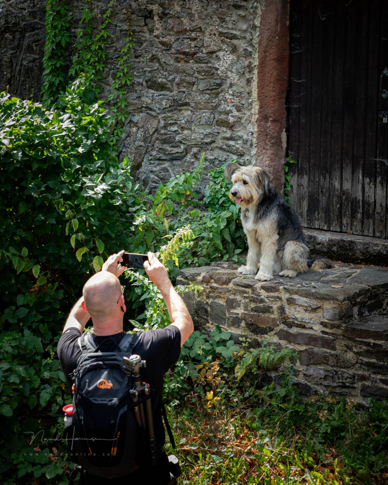 Nando fotograferen smartphone