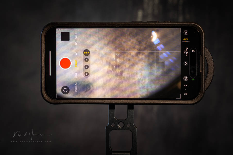 Nando haida blue stripe Nando haida blue stripe