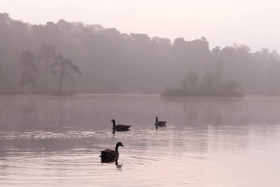 Nando high key 01 onbewerkt Nando high key 01 onbewerkt