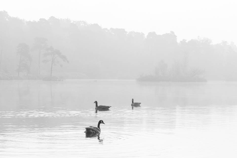 Nando high key 03 bewerking Nando high key 03 bewerking