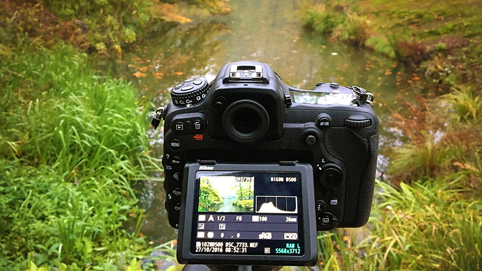 Nando histogram liveview