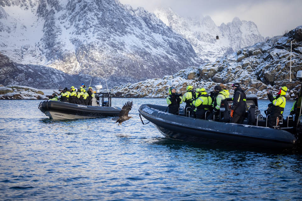 Nando lofoten rib Nando lofoten rib