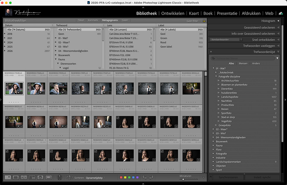Nando Lightroom Classic search Nando Lightroom Classic search