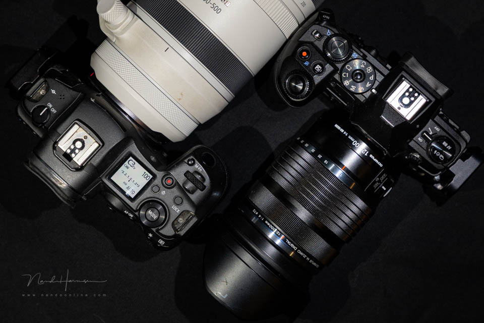 Nando olympus canon
