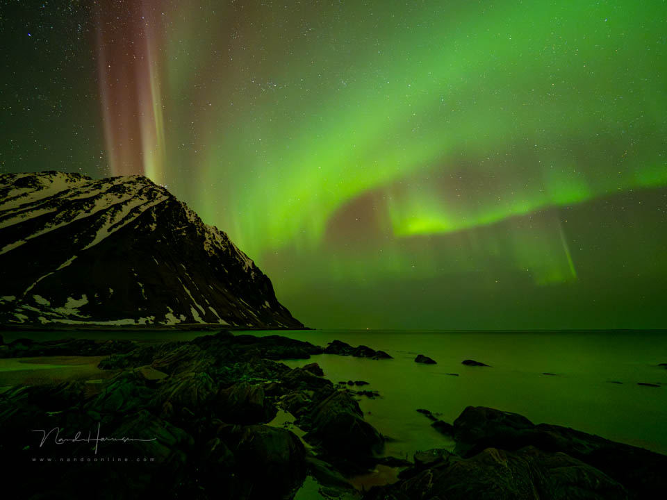 Nando olympus e m1 mk3 7 Nando olympus e m1 mk3 7