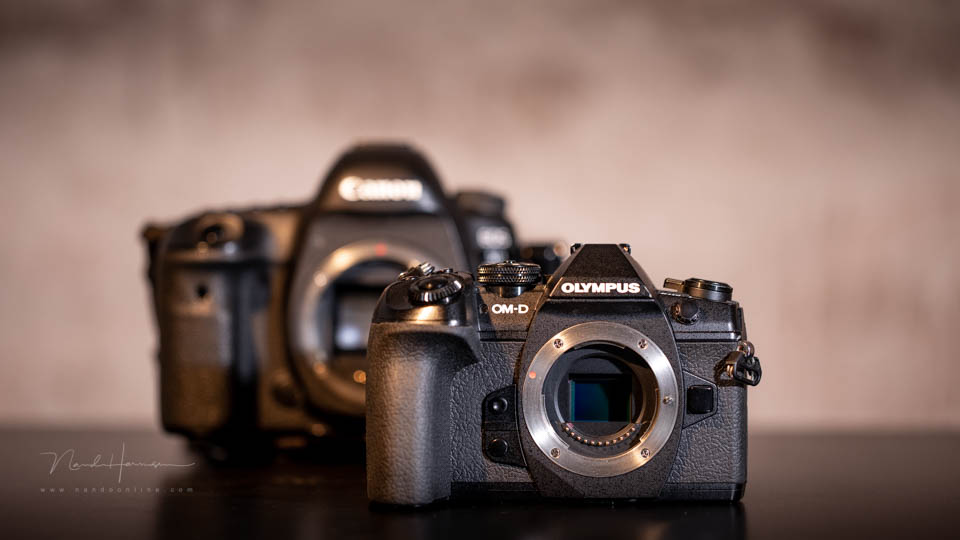 Nando olympus en canon