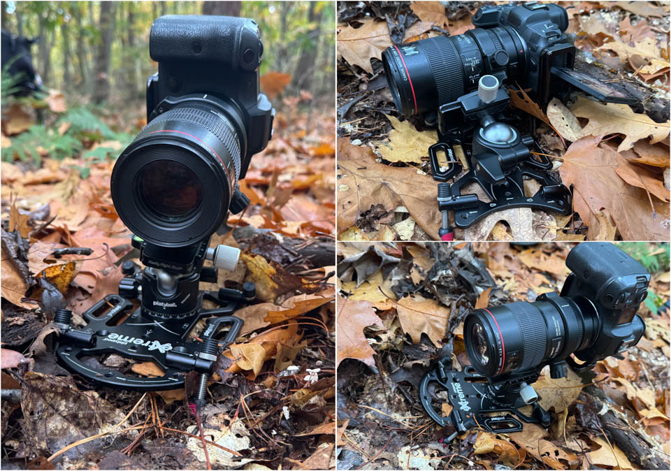 Nando platypod review 4